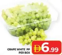 Grape White Pp