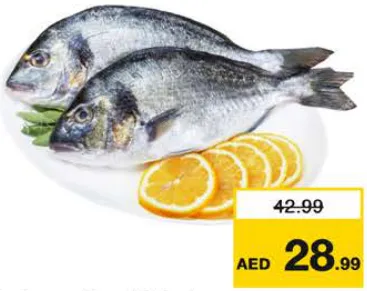 Seabream ( Local ) Per kg
