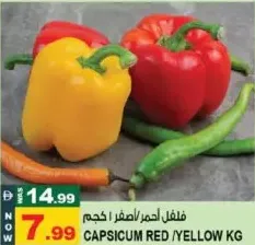 فليفلة