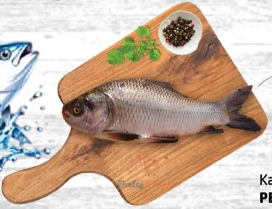 Katla Fish