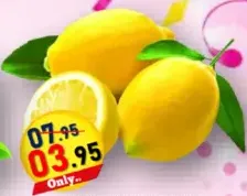 Lemon Yallow