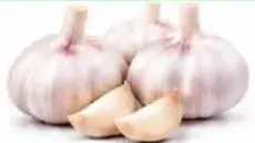India Garlic