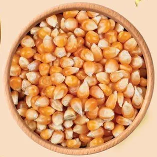 Pop Corn USA