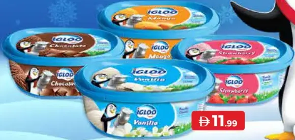 Igloo Ice Cream Tubs