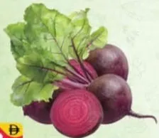 Beetroot Iran