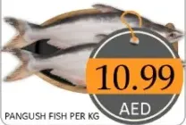 سمك بانغوش / كجم