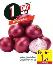 Onion Egypt