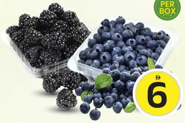 Blueberry/Blackberry