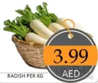 فجل