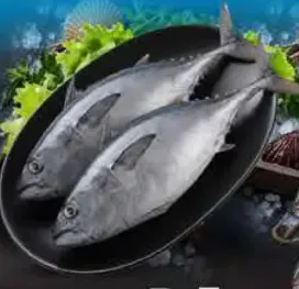 Choora/Tuna