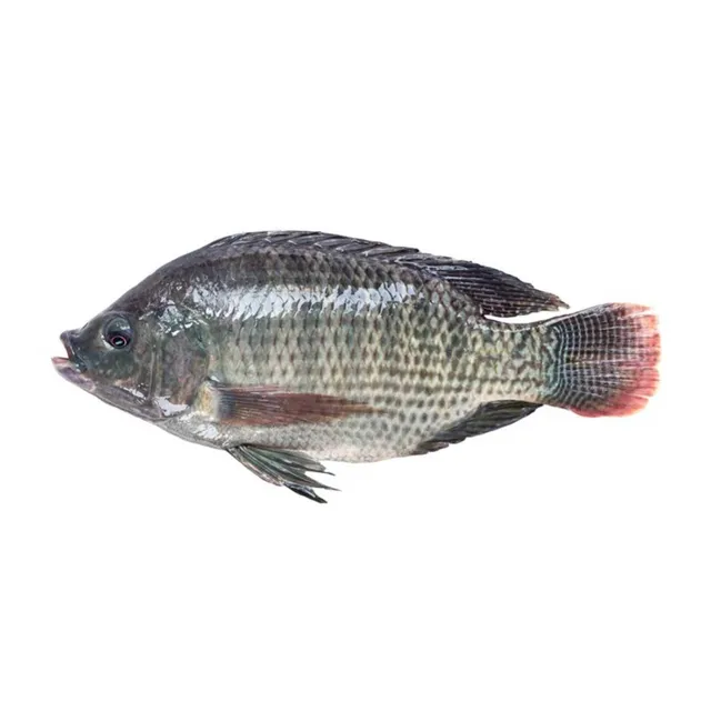 Carrefour Tilapia Fresh