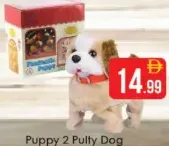 Puppy 2 Pulty Dog