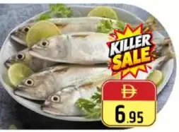 ماكريل صغير