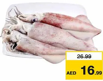 Squid Fresh Big