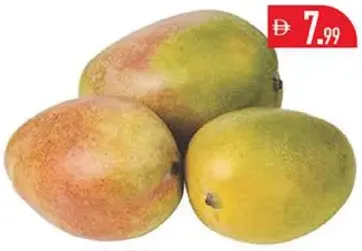 مانجو مصري