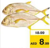 Yellow Para