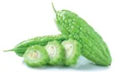 Karela (Bitter Gourd) (India)