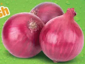 Onion Afganistan