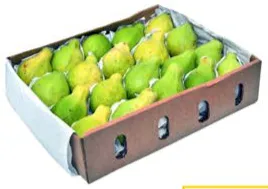 Guava Egypt