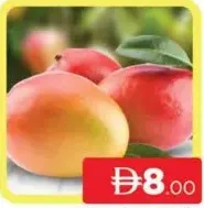 Mango Kent Egypt