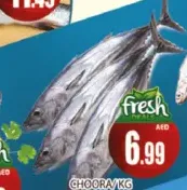 Choora
