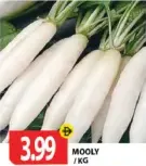 Mooly