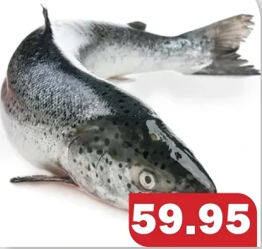 سلمون كامل 4/5