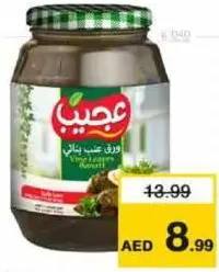 Ajeeb عجيب ورق عنب بناتي