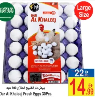 Dar Al Khaleej Fresh Eggs Large Size