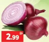 Onion Egypt
