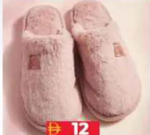 Winter Slipper