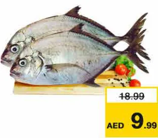 سمك بارا طازج