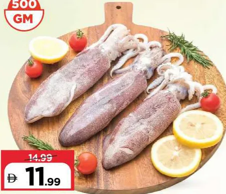 حبار طازج متوسط