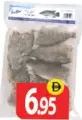 Tilapia