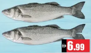 سمك نايلون طازج