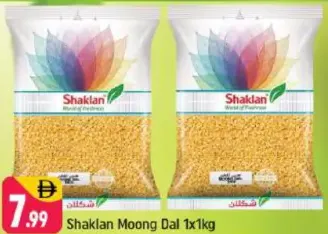 Shaklan مونج دال