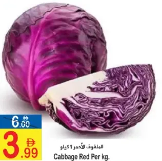 ملفوف أحمر