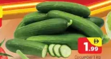 Cucumber