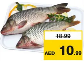 سمك كتلا
