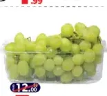 Grape White / Green