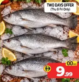 Cora Fish