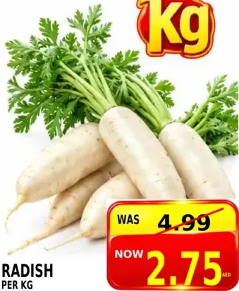 فجل