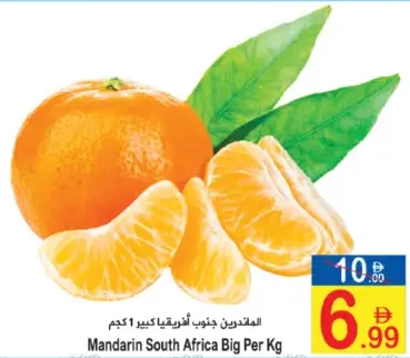 Mandarin South Africa Big