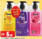Cetrine Hand Wash Assorted
