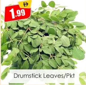 Drumstick Leaves