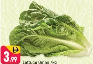 Lettuce Oman