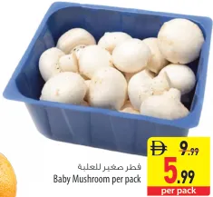 Baby Mushroom