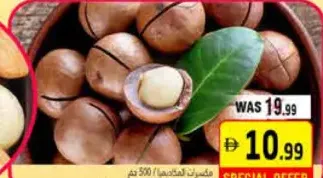 Macadamia Nuts