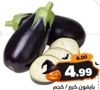 Baygon Big