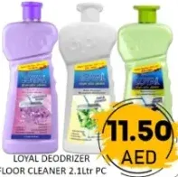 Loyal Deodrizer Floor Cleaner
